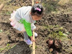 -宁波浙东大竹海景区