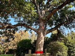 -福建鲤鱼洲酒店