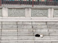 -荔湾博物馆