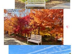 -花开海上生态园