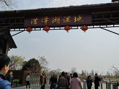 -泗洪洪泽湖湿地景区