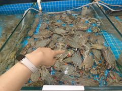 -渡海小渔村.老辈日照菜