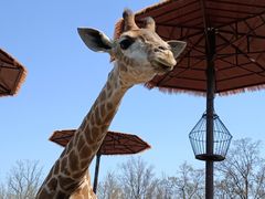 -济南野生动物世界