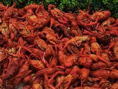 -开元新晶都酒店·自助火锅