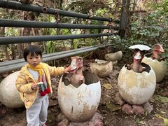 -呀路古热带植物园