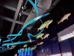-同济大学四平路校区深海探索馆