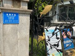 -华山儿童公园
