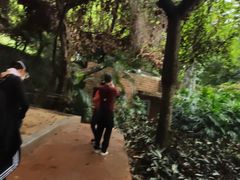 -云溪植物园