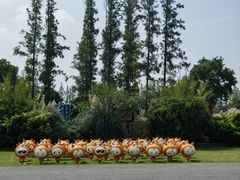 -上海长兴岛郊野公园