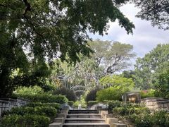 -九龙公园