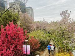 -海棠花溪(元大都城垣遗址公园)