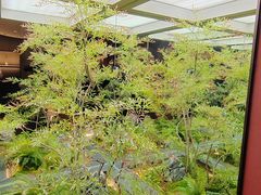 -蘇锦宴·淮扬菜烤鸭·小院(三元桥霄云路店)