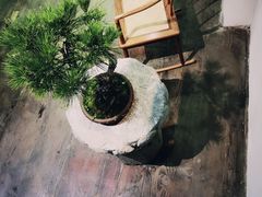 -璞素(浦东店)