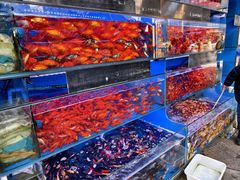 -青石桥花鸟鱼虫市场(叠翠城店)