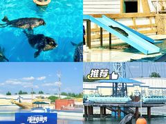 -秦皇岛乐岛海洋王国