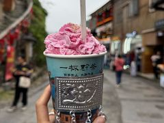 -一杯黔茶(西江千户苗寨古街店)