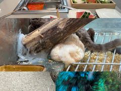 -海底捞火锅(凯德广场店)