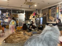 -平行世界·猫咖(首经贸店)