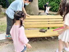 -苏州河梦清园环保主题公园