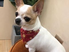 -海马体照相馆(成都来福士广场店)