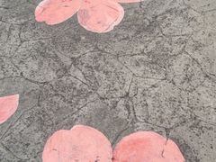 -高东镇樱花园