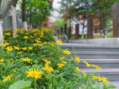 -铁山坪森林公园