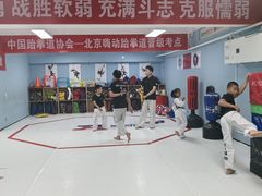 -嗨动跆拳道体能馆(菜百店)