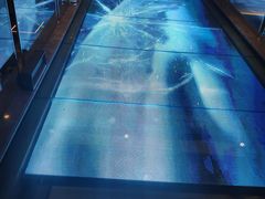 -钓鱼岛洗浴休闲会馆(卫星路店)