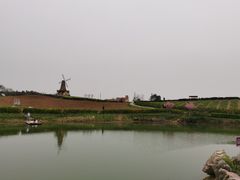 -大塘金香草谷