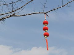 -玄武湖景区-情侣园游乐场