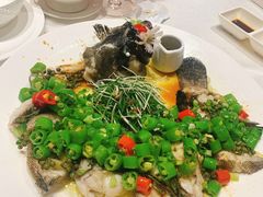 古法手工藤椒鱼-光明招待所(邦凯科技园店)