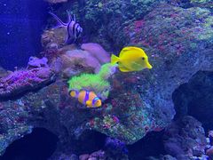 -成都浩海立方海洋公园