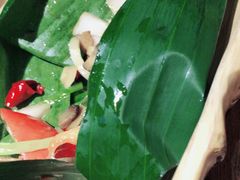 -雀舞云南菜(乐客城店)