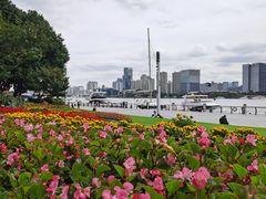 -北外滩滨江绿地