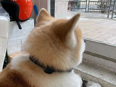 -餐酒吧Com-ing Bar(上海路店)