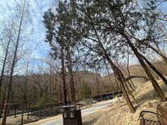 -白水寺森林公园