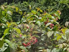 -生态苑农庄(十里画廊遇龙河店)