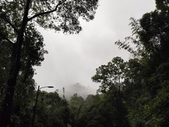 -广州市帽峰山景区