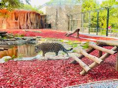 -北京野生动物园