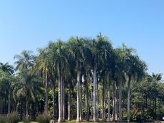 -中国科学院西双版纳热带植物园