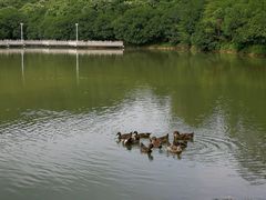 -大雁山风景区