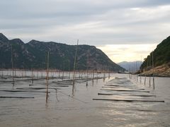 -北岐滩涂
