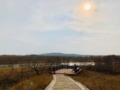 -御道口草原森林风景区
