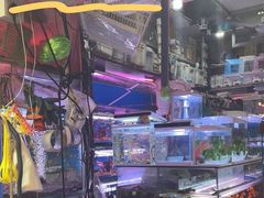 -双季花艺园艺市场(浦东店)