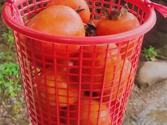 -盛得农家美食·无花果浸鸡·古法烧鸡·竹筒饭(白水寨森林海店)