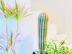 -Such A Cafe(798艺术园区店)