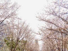 -新天地活力PARK