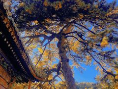 -潭柘寺景区