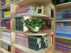 -青枣读书丨读写素养中心丨阅读·理解·写作(崇文店)