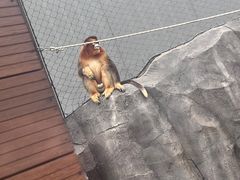 -武汉动物园